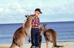 boy 2 kangaroos