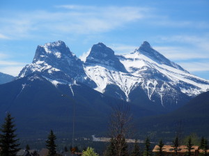 GRIZZLY PAW BREWERY- ITS NOT JUST ABOUT THE BEER!