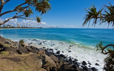 GOLD COAST COASTAL & AQUATIC SNAPSHOT